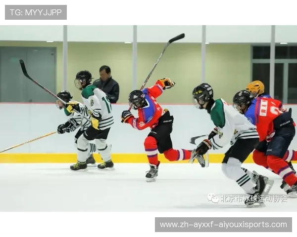 零度空间：冰球运动员体能极限挑战